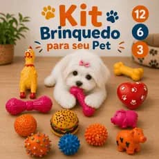 Kit 12/6/3 Brinquedos Mordedores Pet Cachorro Filhote Anti-Stress Sortidos