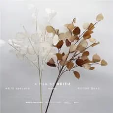 Simulação flor prata ventilador grama florista paisagismo decoração macia Chen configuração placa decoração do quarto fo