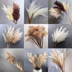 Simulação de alta qualidade flores secas nórdicas grandes flores de junco chão cauda de cachorro grama palha decoração d