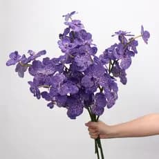 Simulação flor Hu Ji Bandai orquídea sensação de alta qualidade 7 orquídeas casamento decoração para casa arranjo Floral