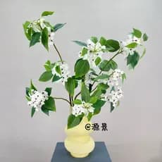 Simulação com folha pêra flor simulação flor interior novo estilo chinês arranjo de flores ornamentos estilo Zen sala es