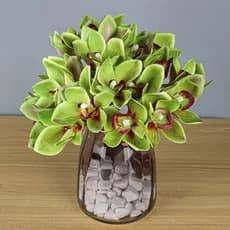 Simulação huilan 6 peças pacote de gravata sentir huilan Phalaenopsis impressão 3D flor falsa modelo de Hotel decoração
