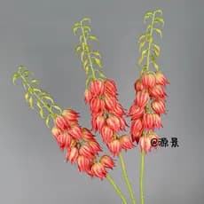 Material de flor artificial PU Ramo longo Lírio do Vale Flor artificial Decoração de casa Arte Floral Phoenix Tail Yucca