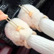 Outono inverno bebê sapatos de algodão de sola macia 0-1 anos de idade passo capa frontal pé 0-3-dezembro masculino femi