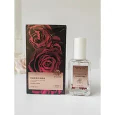 Rosa fragrância cabelo óleo essencial cuidados fragrância macia cuidados com fragrância antiestática de longa duração