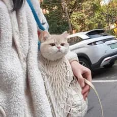 Gato Outing portátil leve grande capacidade bolsa de ombro gatinho Anti-Extreme compras ferramenta útil saco de viagem p