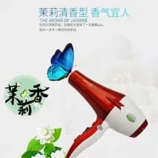 Guohong Fengshen 9979 Estilista de cabelo dedicado secador de cabelo salão de beleza Dayu Fengshen secador de cabelo gen