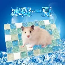 Almofada de gelo para resfriamento de Hamster, placa de resfriamento de verão, almofada de gelo de cristal, coelho, tape