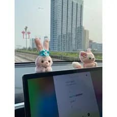 Enfeites de carro Star Delu adequados para Teslabia Di Screen Puppy Car Lingna Belle Decorações femininas