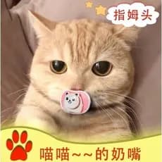 Chupeta de Silicone para gatos de estimação, chupeta de Silicone adequada para molares de gatinhos