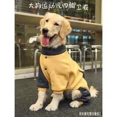 Roupas para cães outono inverno Golden retriever médio grande cão Pet Border Collie grande cão Labrador gigante caro