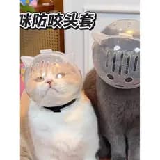 Gato chapelaria corte de unhas anti-risco anti-mordida Pet espaço chapelaria estrela respirável ajustável capacete de se