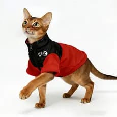 Abicia roupas de gato 2025 novo estilo roupas de inverno forro de lã grosso alemão quente fácil de usar jaqueta com zípe