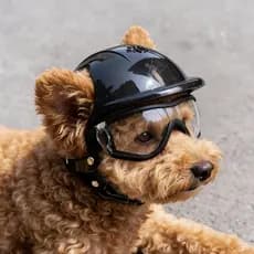 Capacete para passeio de animais de estimação, óculos transparentes à prova de vento, cachorro, Corgi, Shiba Inu, pelúci