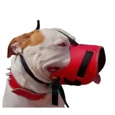 Focinheira pra cachorro em couro reforçada e regulável Pitbull, Husky Siberiano, American Bully, Rottweiler, Pastor Alem