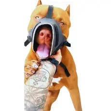 Fucinheira para cachorro banho e tosa médio e grande porte