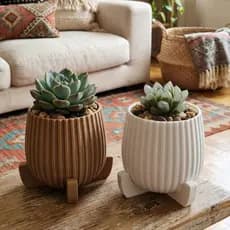 KIT 2 Cachepot com Base, Vaso para Suculentas Moderno Decorativo, para decorar sala, escritorio, banheiro nichos