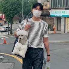 Verão fino em torno do pescoço de manga curta camiseta masculina Casual versão coreana moda na moda listrado camisola de