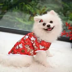 Novas Roupas para Animais de Estimação, Universais para Gatos e Cães, Moletom de Natal para Teddy, Pomeranian, Bichon e