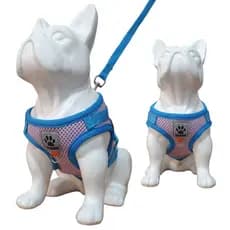 Peitoral para cachorro coleira para dias frios com guia anatômica confortável para cães e gatos a pronta entrega