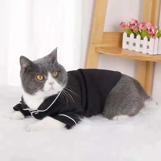 Pijamas para animais de estimação, roupas de ar condicionado para cães, roupas para gatos sem pelos, roupas para cães, c
