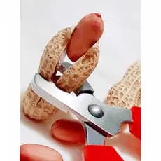 Descascador automático de amendoim, ferramenta útil para descascar amendoim, ferramenta útil para descascar sementes de