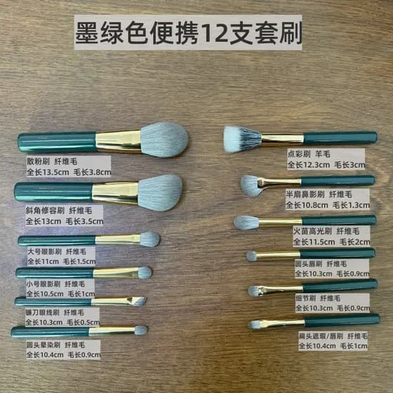 Cangzhou portátil verde escuro 12 peças conjunto de escova genuíno cabelo macio sombra pó solto contorno escova iniciant