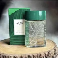 Perfume Arbo Tradicional 100ml Masculino – Perfume Marcante e Elegante