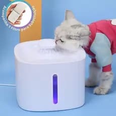 Bebedouro Fonte de Água Automático com Filtro para Gatos e Cachorros