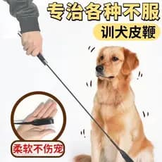Chicote para treinamento de cães, chicote para cães, amor, vara educacional, suprimentos para animais de estimação, trei