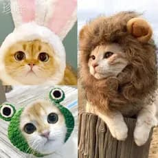 Influenciador animal de estimação gato orelhas de coelho leão chapelaria coelho gato chapéu bonito aniversário natal coc