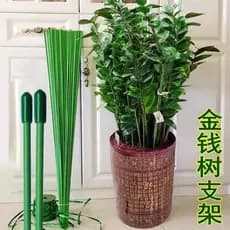 Haste de suporte para árvore de dinheiro, vaso de flores, haste interna, melão, frutas, flores, jardinagem, suporte de f