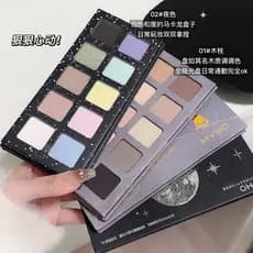 Novo barato dez cores ramo sombra Blush terra cor fosco brilho contorno estudante paleta abrangente