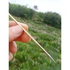 Fangling idade acne agulha profissional beleza remover acne agulha espremer acne acne agulha remover cravo agulha ferram