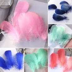 100 penas de ganso de cor natural, usadas para fazer apanhadores de sonhos, fantasias para festas de casamento e decoraç