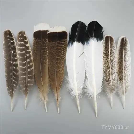 10 peças/lote de penas de águia naturais, usadas para artesanato, acessórios de cabelo, decorações de festas, itens feit