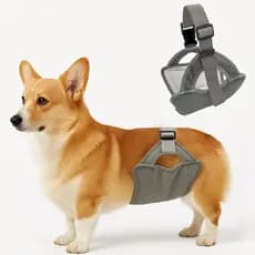 Nova Fralda para Cães Machos - Anti-Assédio, Anti-Gravidez, Roupa Íntima Higiênica para Animais