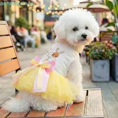 ANHENGXIN Vestido De Princesa Para Animais De Estimação , Saia Inchada De Cachorro De Páscoa Com Estampa De Coelho Macio