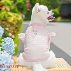 BLUEVELVET1 Colete Protetor Solar Para Gatos , De Resfriamento Cães De Malha Fina Com Proteção , Design De Anel D À Prov