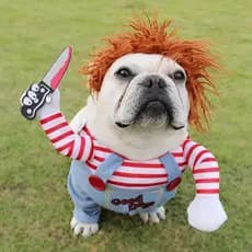 Trajes De Cachorro De Halloween Engraçado Roupas Para Animais De Estimação Ajustável Cão Cosplay Traje Conjuntos Novidad