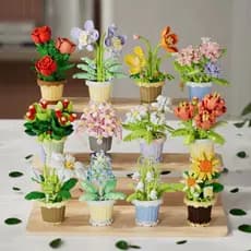 Blocos de Construção de Partículas Pequenas de Flores Preservadas para Decoração e Presentes de Dia dos Namorados