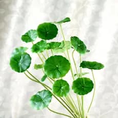 Única Folha de Lótus Pequena Artificial Folha Verde Plástico Pequena Planta Verde Folha Decorativa Arranjo de Flores Fal