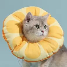 Gato Elizabeth colar gatinho Anti-lamber mordida vergonha colar chapelaria coleira de esterilização acessórios para anim
