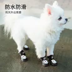 Sapatos para cães sapatos para cães botas de chuva para animais de estimação sapatos para cães sola macia não pode sair