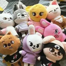 Estoque Pronto Straykids Doll Skzoo Brinquedos De Pelúcia