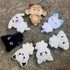 Kpop Idol Enhypen Personagens De Desenhos Animados Fofos 10 Cm Boneca De Pelúcia Heeeseung JAY SUNOO JAKE Brinquedos