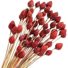 Rtteri 60 Peças de Flores Secas Vermelhas com Hastes para Arranjos em Vasos e Buquês, Flores em Mini Bolas de 16" Natura