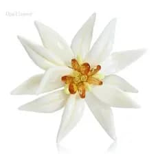 Broche Edelweis Esmaltado Coreano Opalineer Para Acessórios Adição Guarda-Roupa