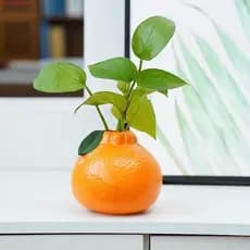 Vaso Hidropônico JUNYUE , De Laranja Simulado Decorativo De Cerâmica Arte De Ornamento Em Forma De Fruta