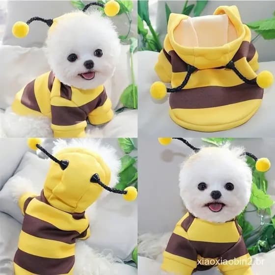 Roupas Para Cães , De Transformação De Abelhas Outono E Inverno Animais De Estimação